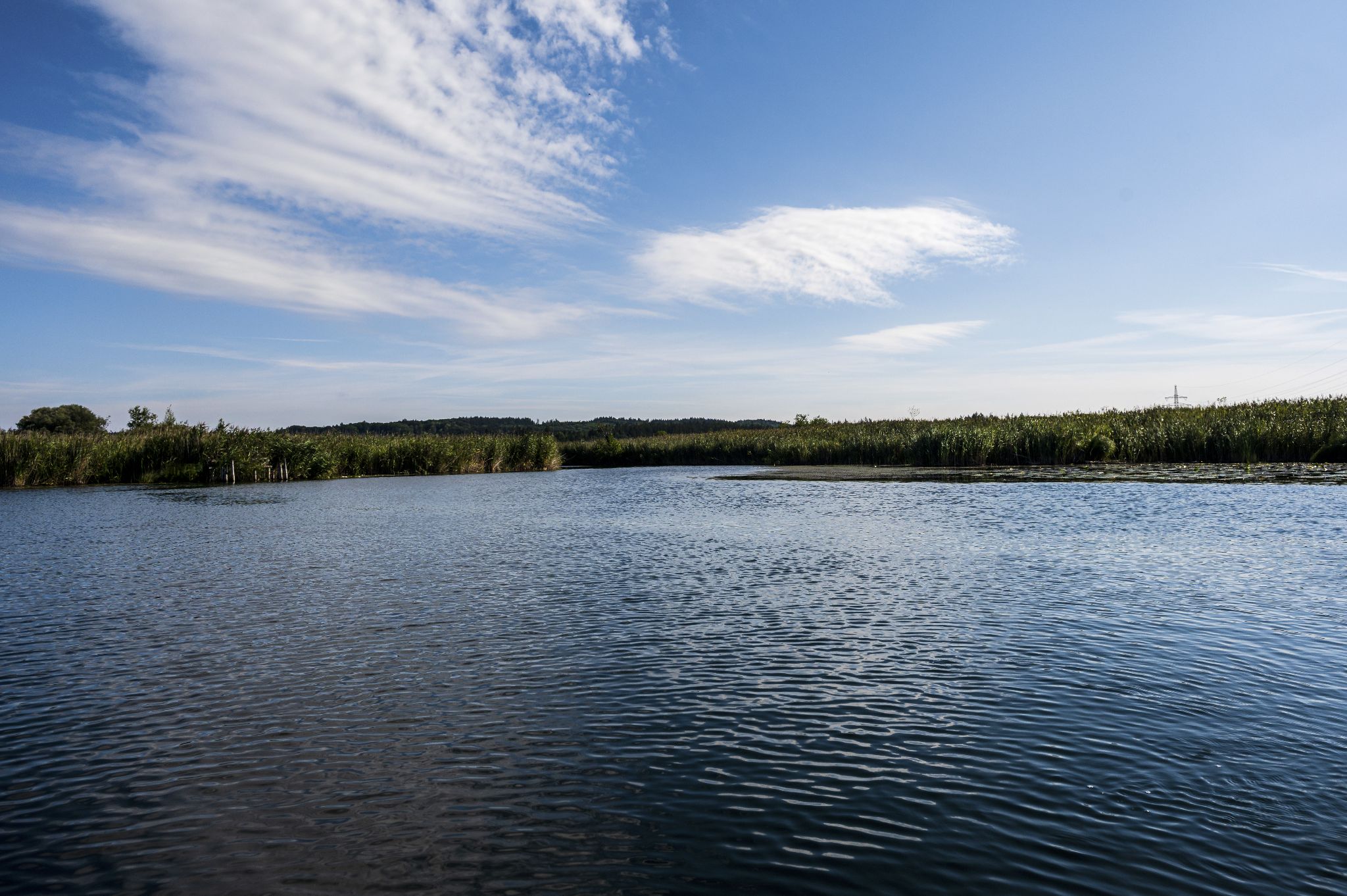 Kajaktour Leutstettner Moos 21.08.2022